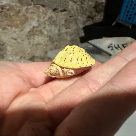 Reptile Figurine Set - Green, Yellow, Brown - Picture 5 of 11